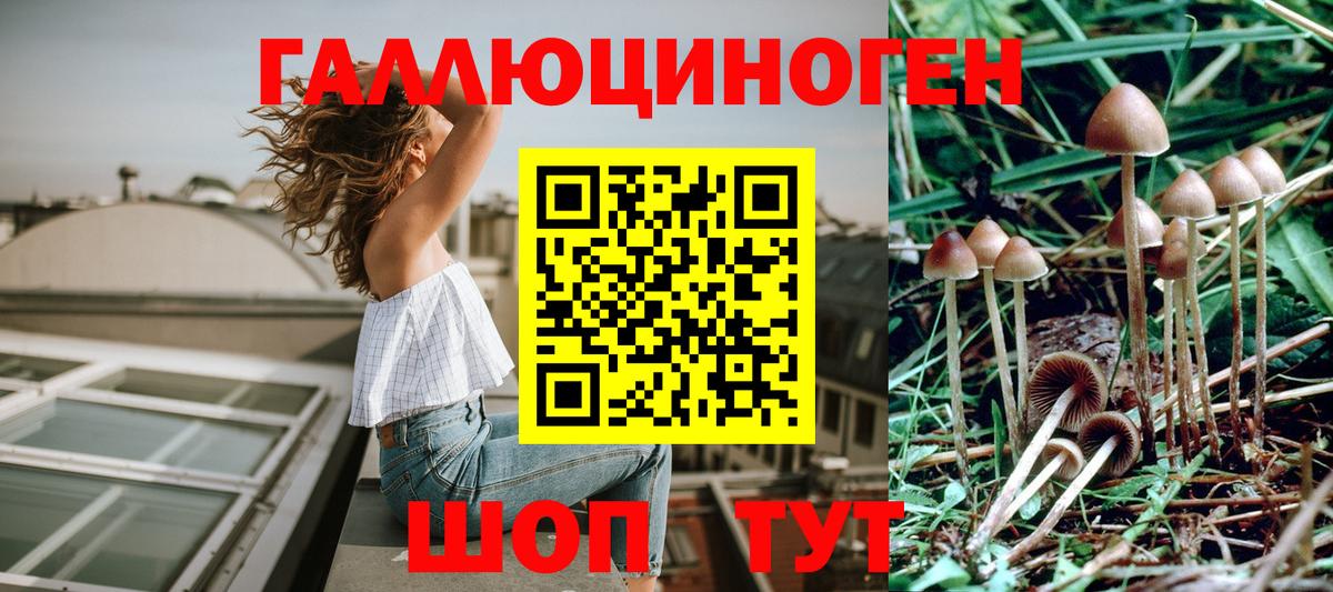 Псилоцибиновые грибы мухоморы Кстово