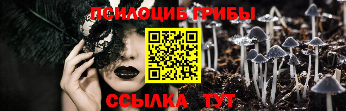 Псилоцибиновые грибы Cubensis  Вход с VPN  Кстово 